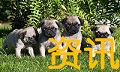 好玩资讯