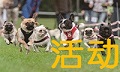 活动专区