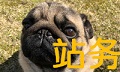 日常事务