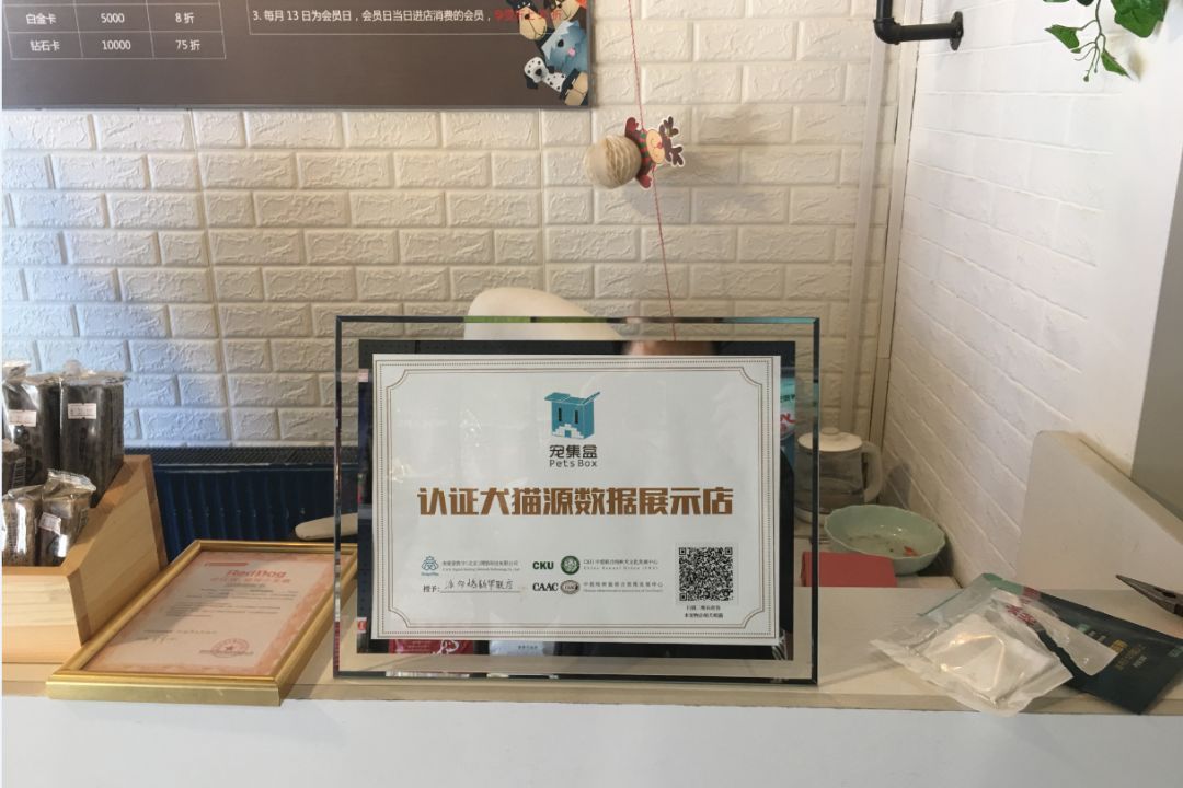 以后卖狗不用愁了！今年将有10000+宠物店帮你卖狗！-10.jpeg