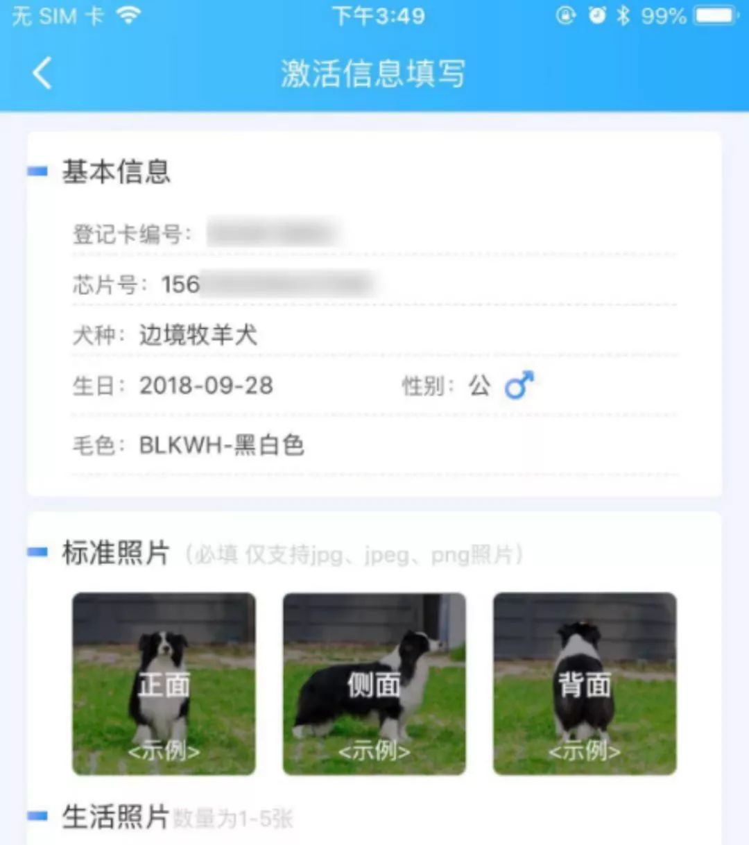 以后卖狗不用愁了！今年将有10000+宠物店帮你卖狗！-5.jpeg