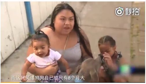 狗攻击行为的背后，往往是一连串心酸的往事-3.jpeg