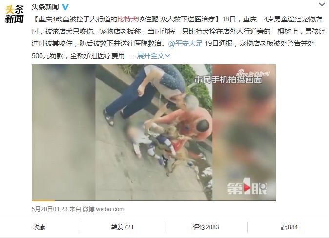 狗攻击行为的背后，往往是一连串心酸的往事-4.jpeg