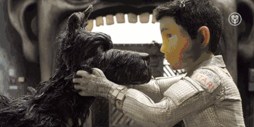 它懂流浪的滋味，只是哭不出声-1.gif