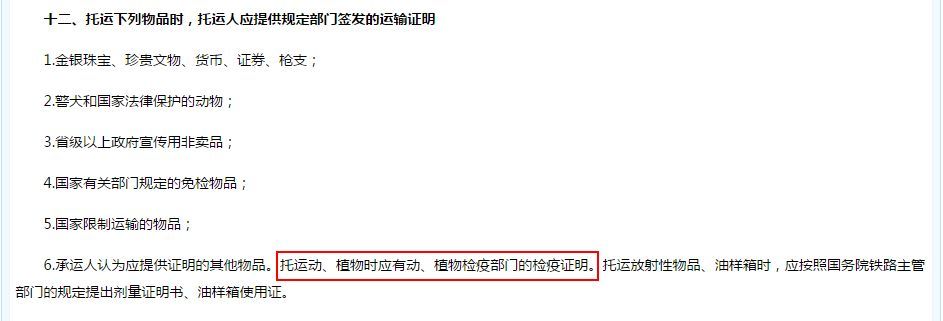 网上买了只小狗，竟然自己坐车过来的-4.jpeg
