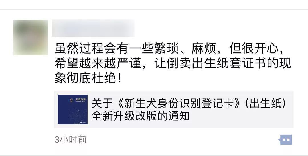 关于出生纸激活政策，这些从业十年的老犬舍怎么说？-1.jpeg
