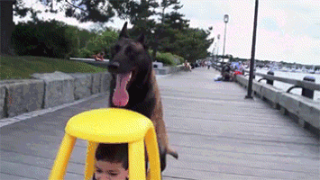 864d3d9a5f6042e199a84fe09aef8b3e.gif