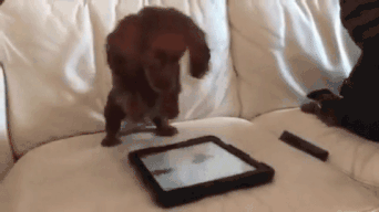 65a5c31c7b154afd82fe70c739ad5731.gif