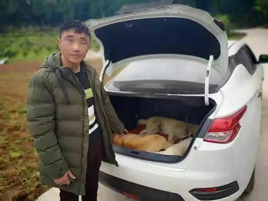 一周新鲜事-7.jpeg