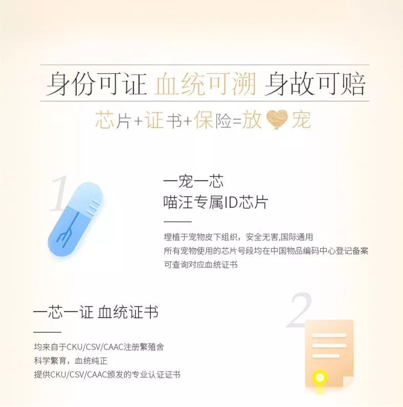这家天猫宠物店，一天卖了两千万！-5.jpeg