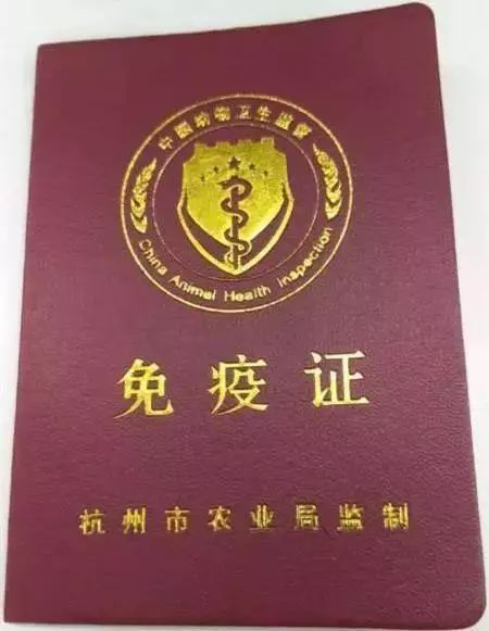 杭城犬类免疫点被挤爆的背后，我们应该知道什么？-1.jpeg