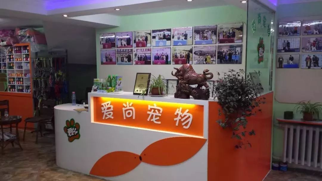 杭城犬类免疫点被挤爆的背后，我们应该知道什么？-10.jpeg