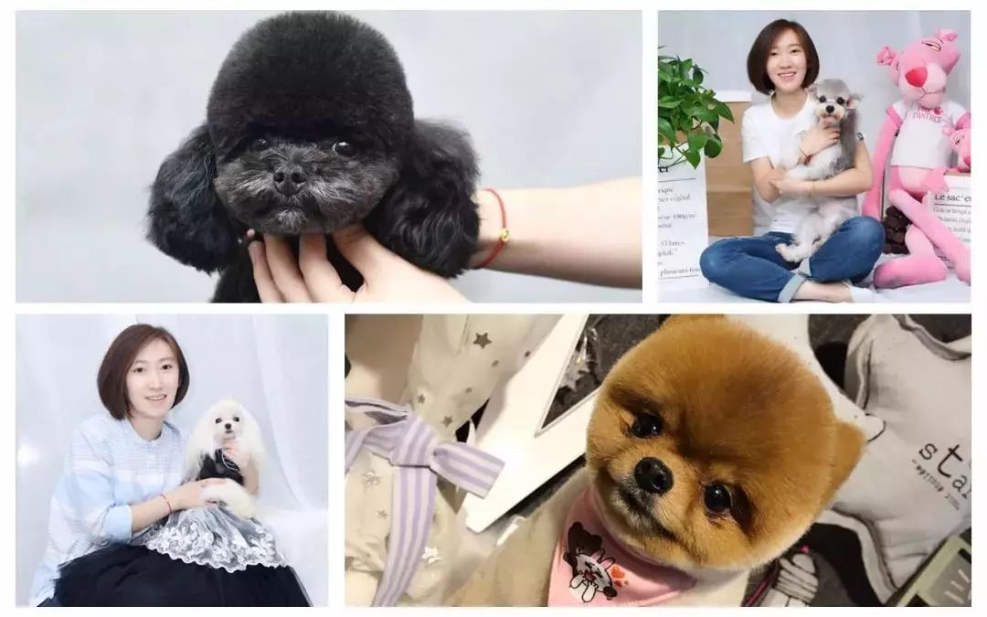 杭城犬类免疫点被挤爆的背后，我们应该知道什么？-7.jpeg