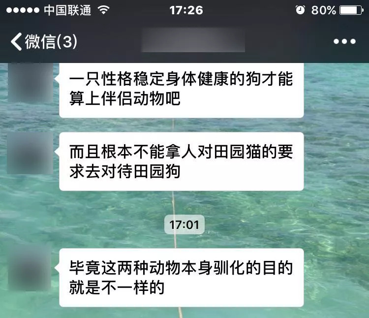 “养纯种犬只是为了好看”-5.jpeg