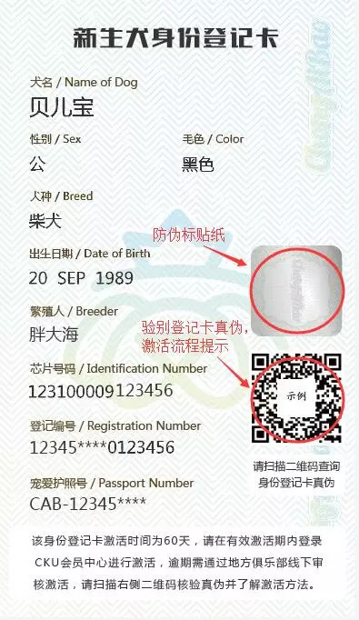 宠爱护照一出，有人激动有人落泪！-3.jpeg