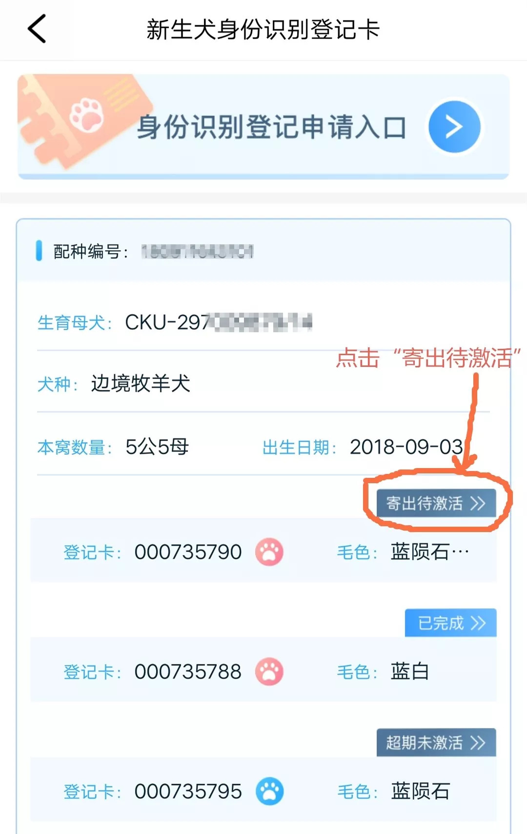 宠爱护照一出，有人激动有人落泪！-6.jpeg