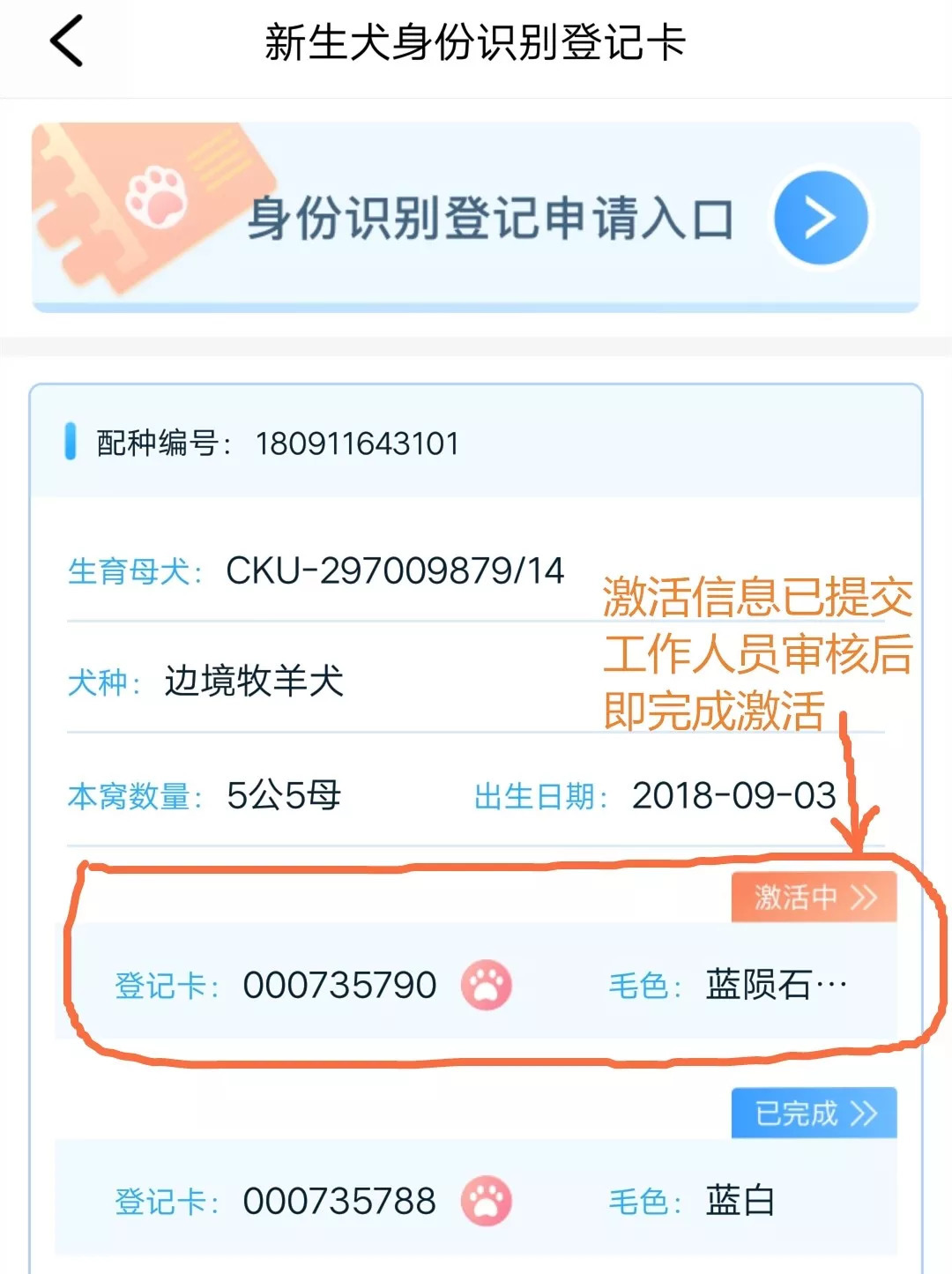 宠爱护照一出，有人激动有人落泪！-9.jpeg