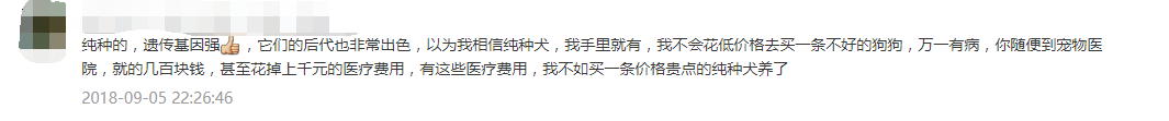 “狗纯不纯，有那么重要吗？”-4.png