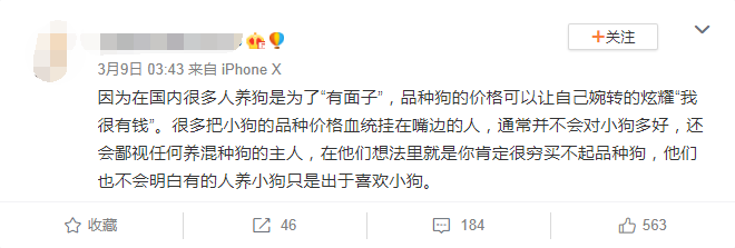 “狗纯不纯，有那么重要吗？”-5.png