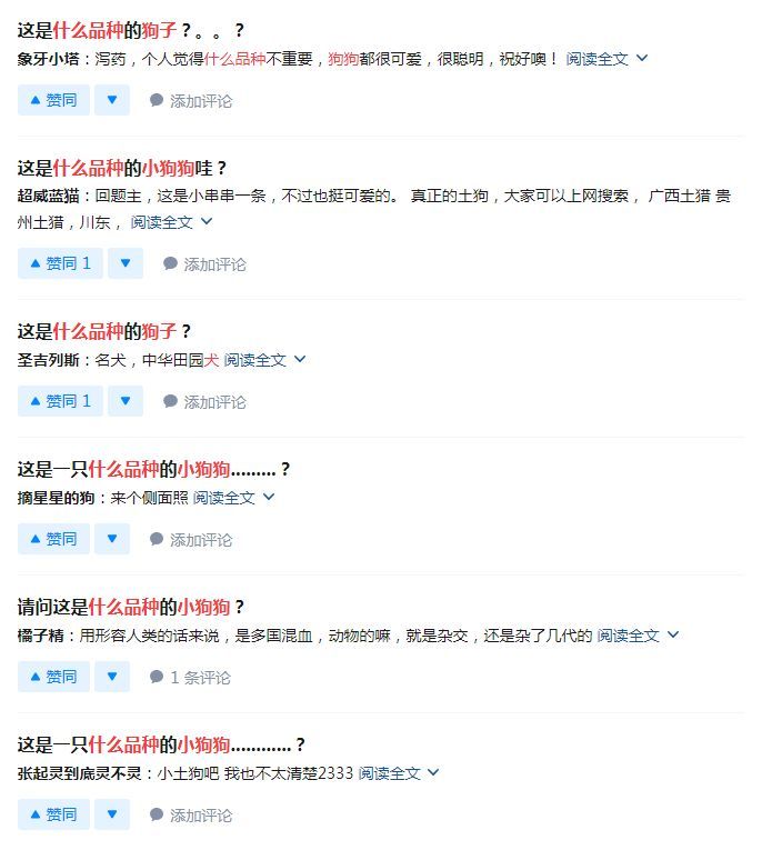 “狗纯不纯，有那么重要吗？”-3.jpeg