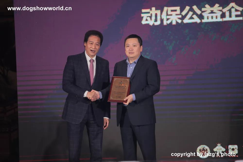 宠爱点亮星光之夜！2018年中国宠物产业文化发展颁奖盛典隆重举行！-27.jpeg