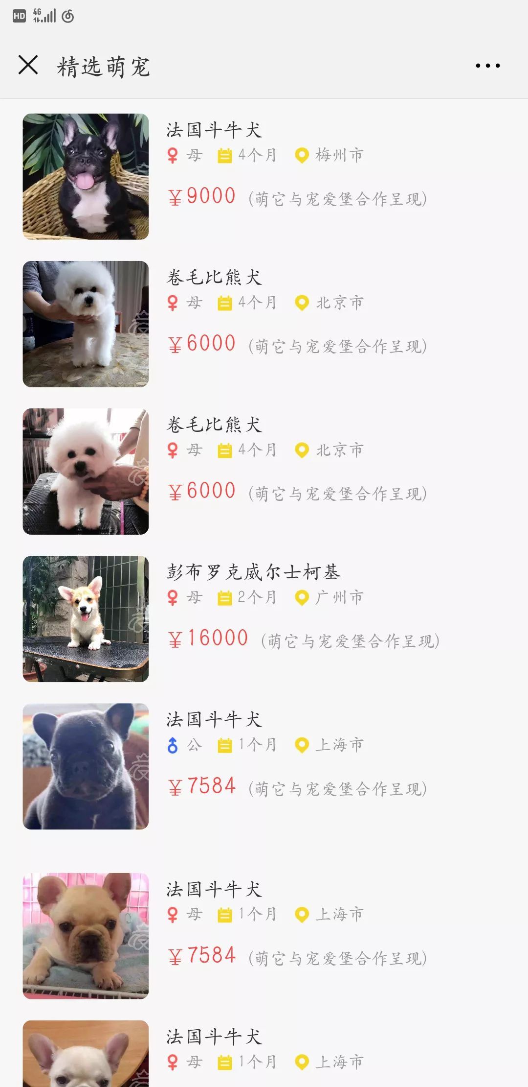 一个犬舍如何经营，就看他如何运用手里资源-6.jpeg