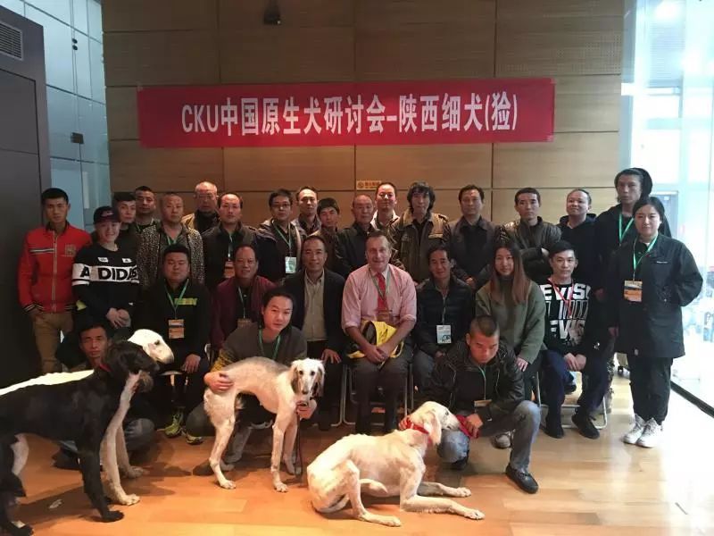 唐狗上热搜之后：你对中国原生犬了解多少？-5.jpeg