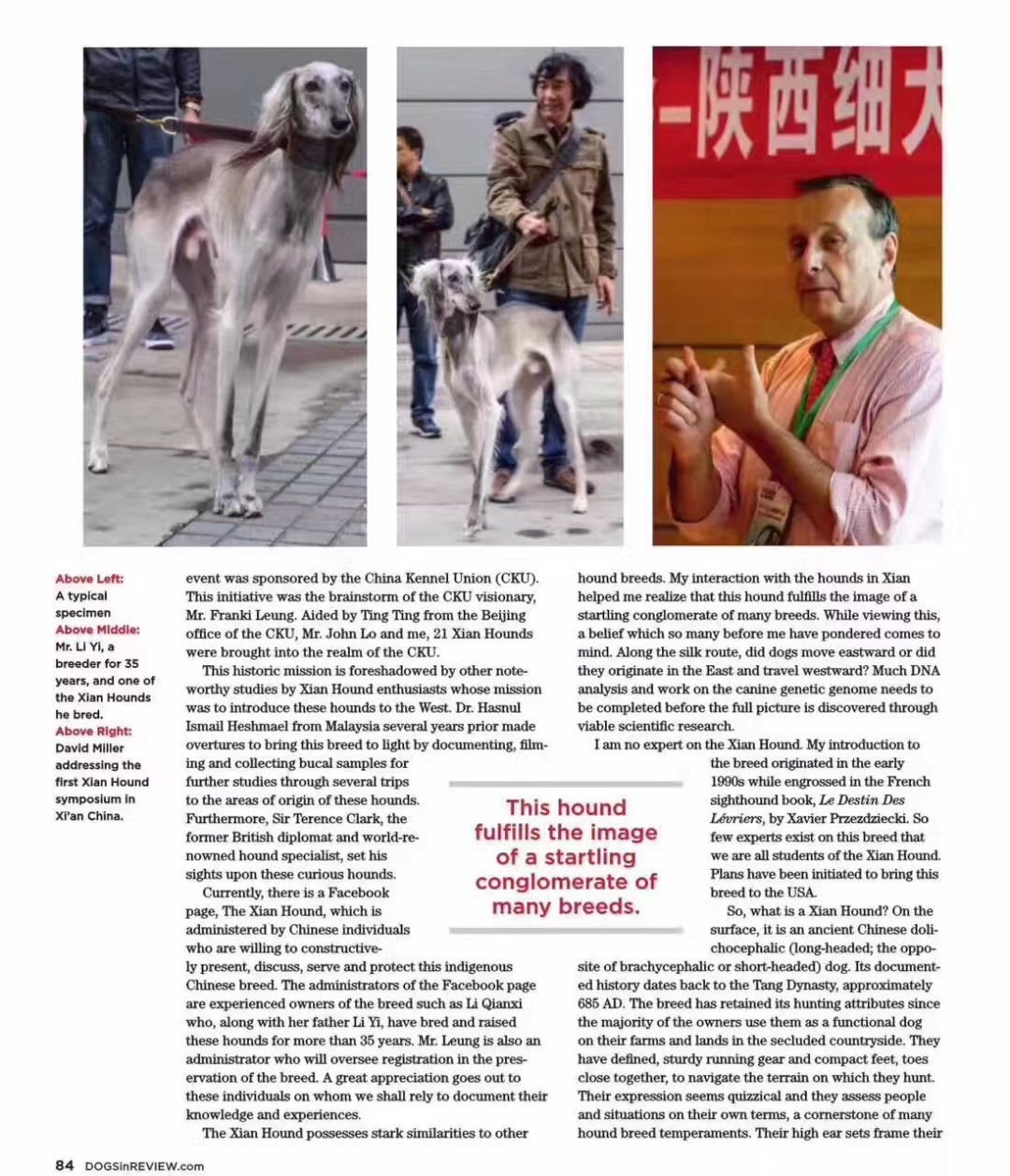 唐狗上热搜之后：你对中国原生犬了解多少？-11.jpeg