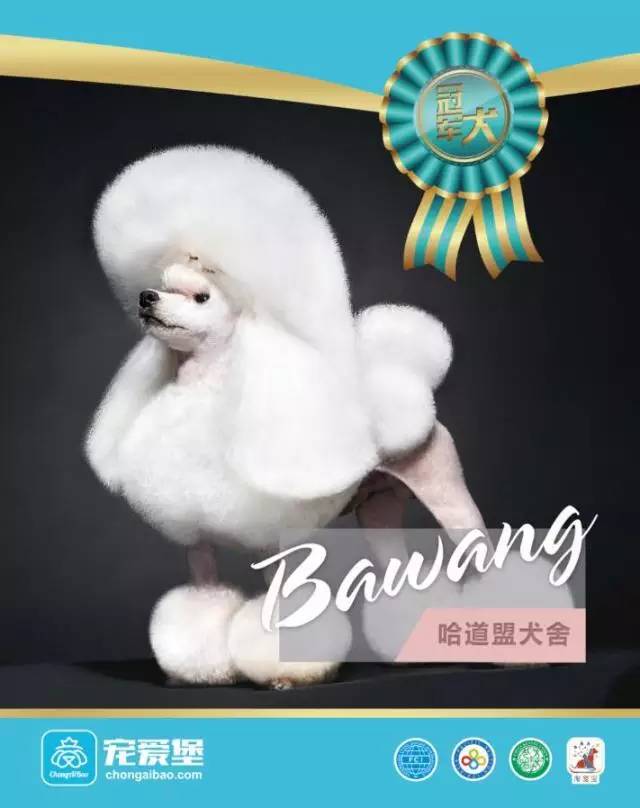 【倒计时三天】宠爱堡携手CKU本部展即将震撼登陆！-5.jpeg