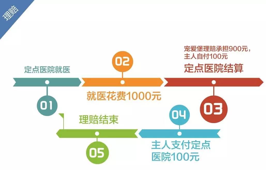 【宠爱保健康医疗保险】重磅登场！一切惊喜尽在本部展-4.jpeg