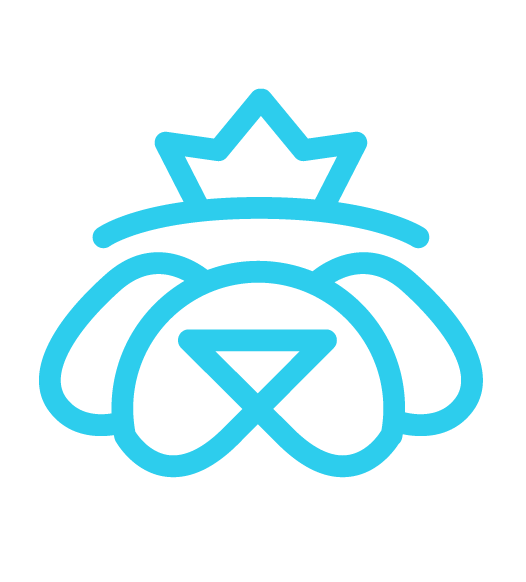 【宠爱保健康医疗保险】重磅登场！一切惊喜尽在本部展-17.png