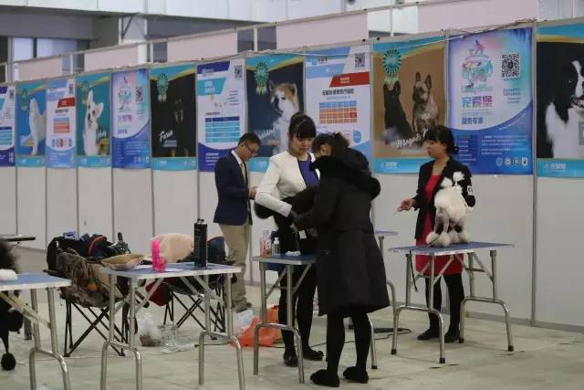 【宠爱堡独家】本部展第一时间现场报道！海量图片大放送-33.jpeg