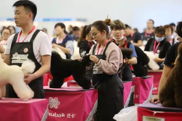 【宠爱堡专访】孟令全先生谈美容师资格考试-5.jpeg