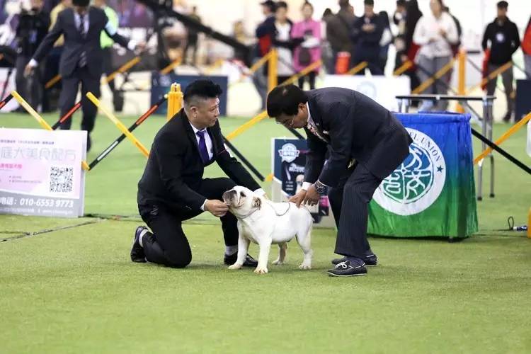 【10月21日本部展成绩】宠爱堡带你直击赛事现场-6.jpeg