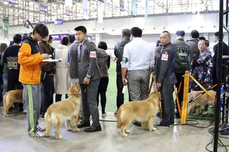 【10月21日本部展成绩】宠爱堡带你直击赛事现场-11.jpeg