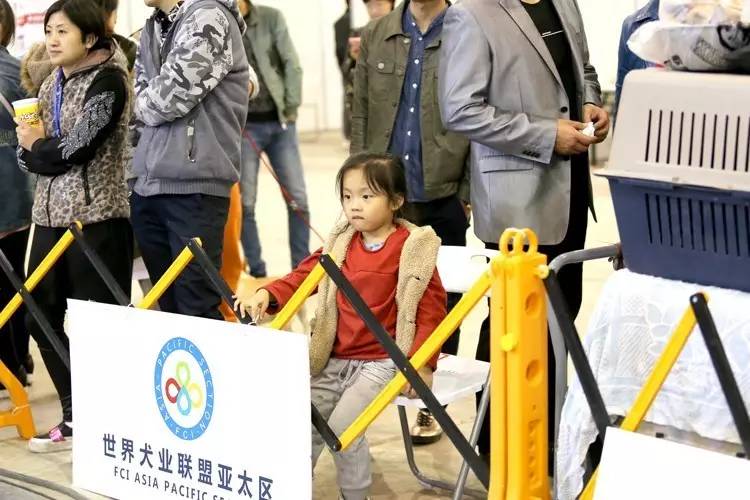 【10月21日本部展成绩】宠爱堡带你直击赛事现场-23.jpeg