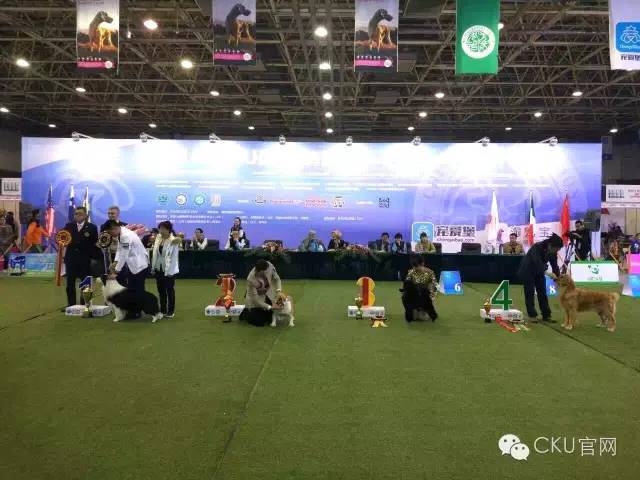 【10月22日本部展成绩】现场精彩花絮多图慎入！-4.jpeg