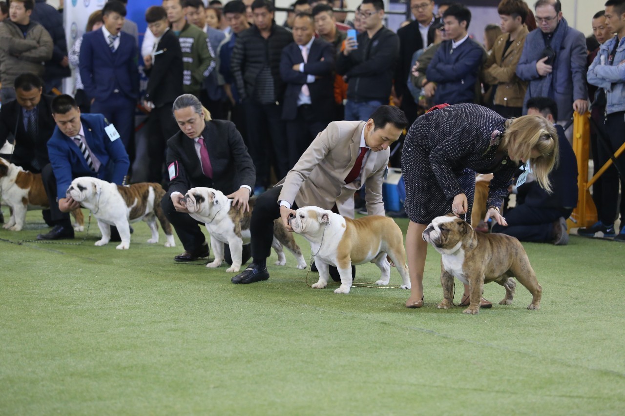【10月22日本部展成绩】现场精彩花絮多图慎入！-12.jpeg