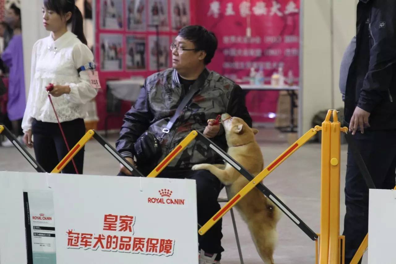 【10月22日本部展成绩】现场精彩花絮多图慎入！-18.jpeg