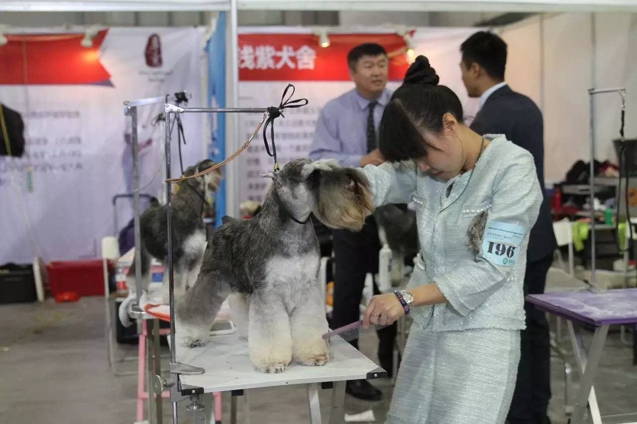 【10月22日本部展成绩】现场精彩花絮多图慎入！-25.jpeg