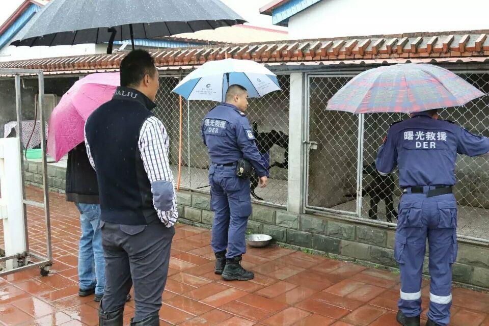 【宠爱视角】大爱助阵，小黑豹归来-3.jpeg