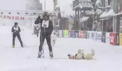 当狗狗学会滑雪-6.jpeg