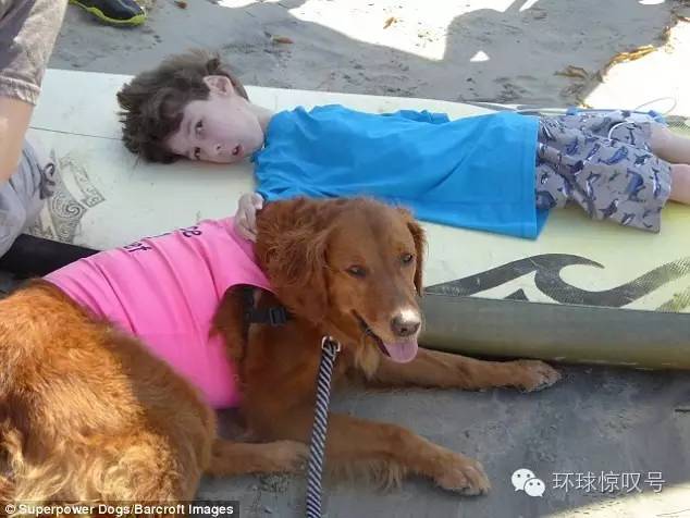 暖心！美冲浪冠军狗狗帮助残疾儿童勇敢冲浪-3.jpeg