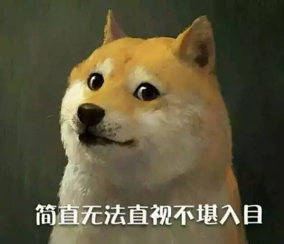 有人问我，你除了养狗还会干什么？-6.jpeg