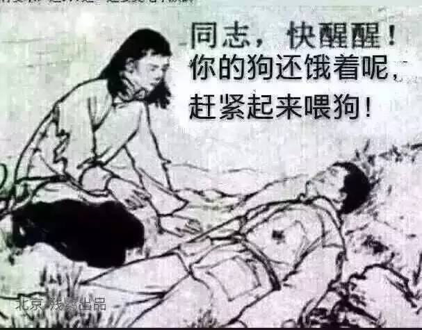 有人问我，你除了养狗还会干什么？-7.jpeg