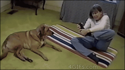 跟狗比瑜伽，人类就是渣-1.gif