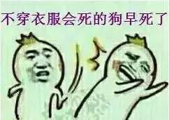 怎么穿衣服才能不被冻成狗？｜宠爱知识-7.jpeg