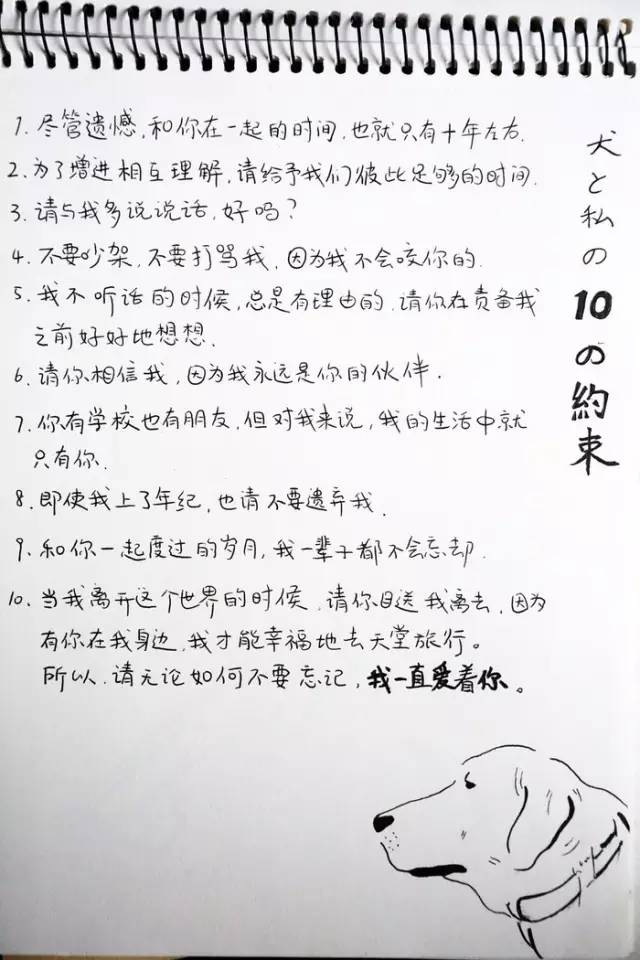 超可爱狗狗！但长大之后...-35.jpeg