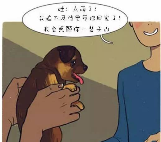 超可爱狗狗！但长大之后...-32.jpeg