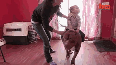 如果哪天狗狗可以开口说话，你一定会感动到哭！-12.gif